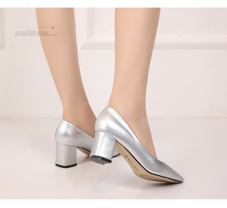 Stylish Pointed Toe Pumps w/Chunky Low Heels