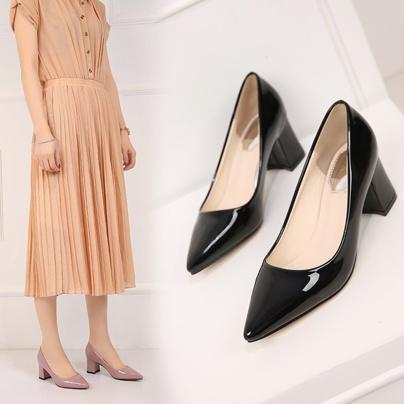 Stylish Pointed Toe Pumps w/Chunky Low Heels