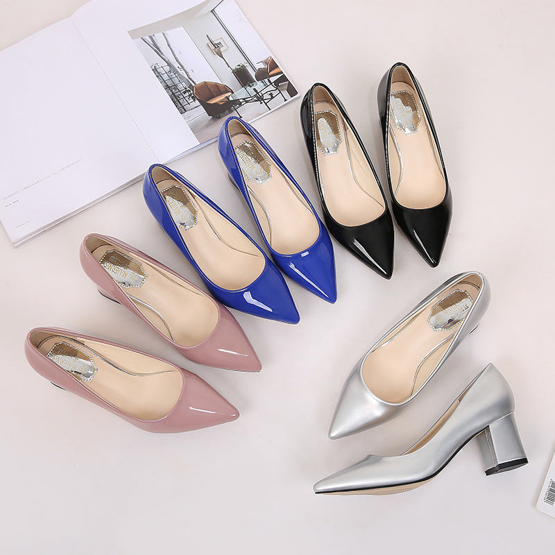 Stylish Pointed Toe Pumps w/Chunky Low Heels